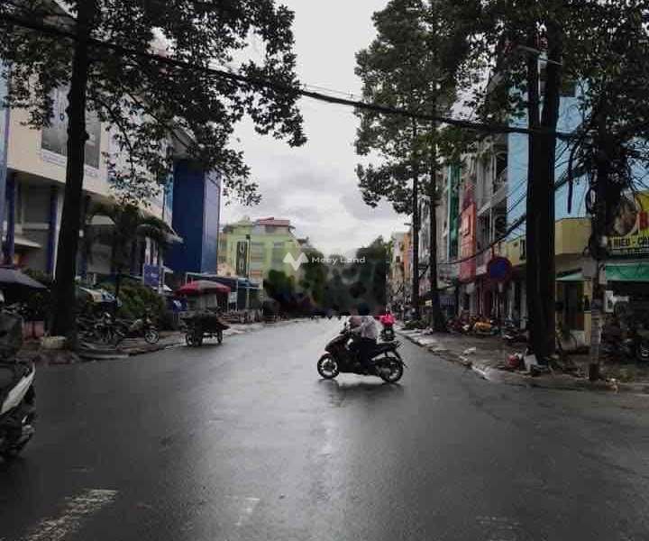 Vị trí đẹp tọa lạc ở Bình Trị Đông B, Hồ Chí Minh bán nhà bán ngay với giá phải chăng từ 17 tỷ tổng quan trong ngôi nhà 4 PN 5 WC-01