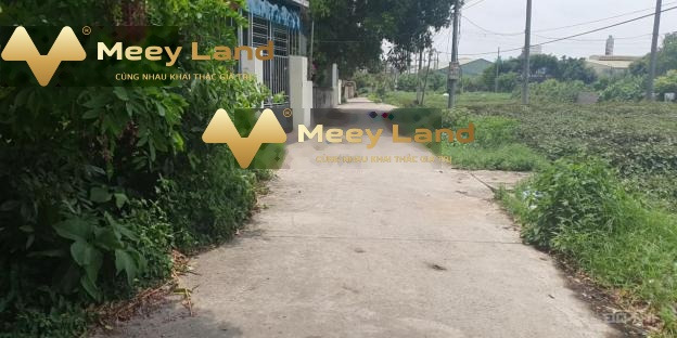 Cần vốn mở tiệm bán đất Quốc Lộ 5, Hưng Yên giá không môi giới 3.6 tỷ có dt chung là 90 m2-01