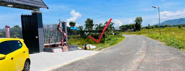 Có diện tích là 438m2 bán đất giá hữu nghị từ 2.1 tỷ-02