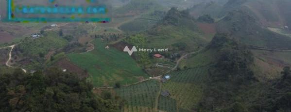 Phiêng Luông, Sơn La 1 tỷ bán đất có diện tích gồm 50000m2-02