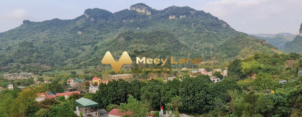 4.55 tỷ bán đất Diện tích đất 3140 m2 vị trí mặt tiền tọa lạc ngay Huyện Lương Sơn, Tỉnh Hòa Bình-03
