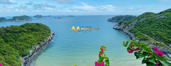 Dự án nằm đẹp tại Flamingo Cat Ba Beach Resort, bán chung cư, giá hữu nghị từ 2,3 tỷ-02