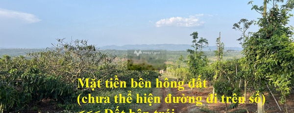 Vị trí đẹp tại Krông Năng, Đắk Lắk bán đất giá hạt dẻ 720 triệu diện tích chính là 7738m2-03