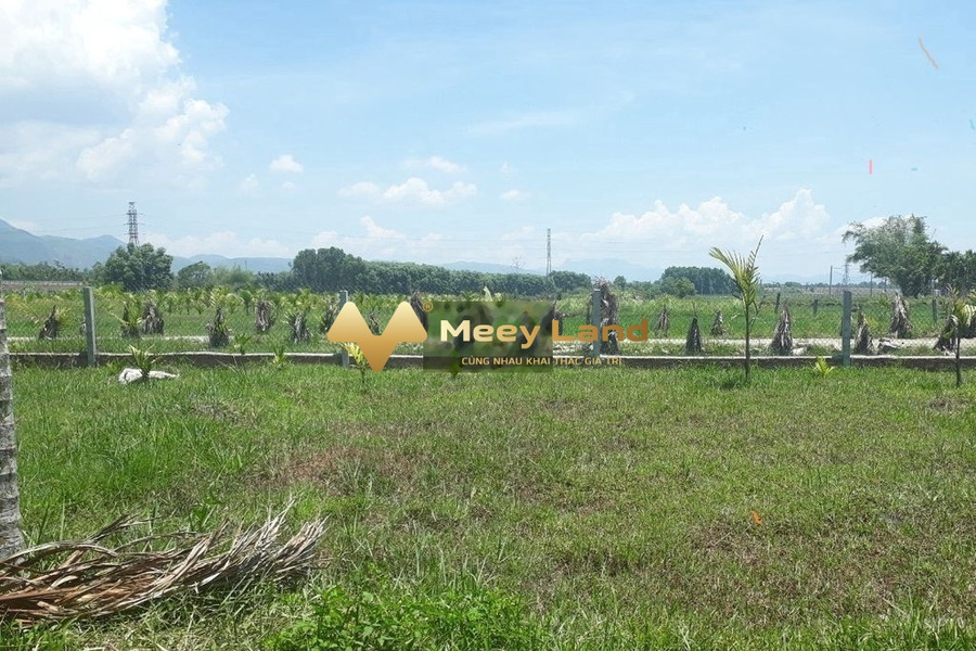 Giá bán chính chủ chỉ 780 triệu bán đất có diện tích khoảng 176 m2 vị trí nằm tại Huyện Hòa Vang, Đà Nẵng-01