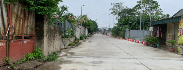Siêu phẩm 100m2 trục chính Ủy ban nhân dân Thư Phú, Thường Tín, đường 7m, cổng trường kinh doanh các loại-03