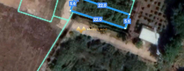 Bán đất mặt tiền tọa lạc ngay trên Đường 768, xã Thạnh Phú-03