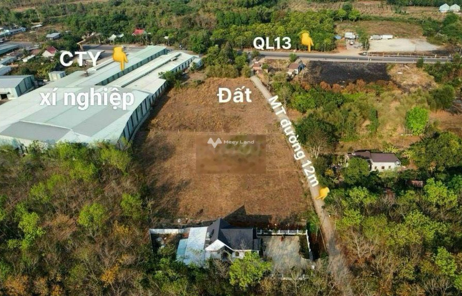Mặt tiền tọa lạc gần Lộc Ninh, Bình Phước bán đất, giá bán hiện tại 350 triệu có diện tích chính 200m2-01