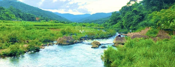 Giá sang tên 1 tỷ bán đất diện tích thực là 20000m2 vị trí nằm ngay Kim Bôi, Hòa Bình-02