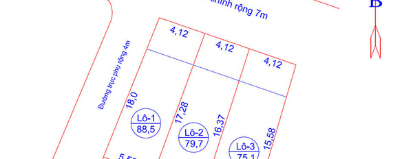 Cần bán đất huyện Sóc Sơn, Hà Nội, giá 1,15 tỷ-03