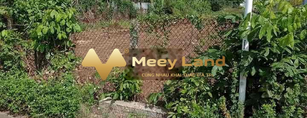 Giá bán khủng 3.25 tỷ bán đất có một diện tích 800m2 vị trí đẹp nằm tại Võ Văn Kiệt, Đắk Lắk, hướng Tây Nam-03