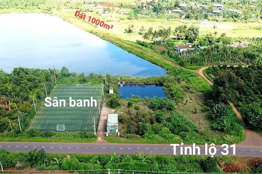 Bán mảnh đất, giá cơ bản chỉ 950 triệu, hướng Tây - Nam diện tích là 1000m2-01