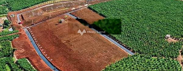 Ở Bảo Lâm, Lâm Đồng bán đất 8.75 tỷ có diện tích chuẩn 12500m2-02
