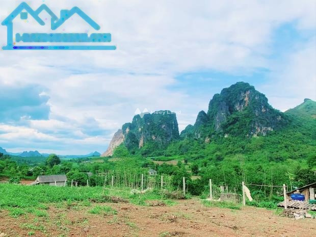 Gấp bán đất Tân Phong, Cao Phong giá chỉ 2.75 tỷ có diện tích 3984m2-01