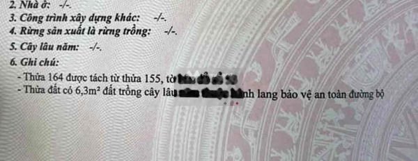 Giá thị trường 3.6 tỷ, Bán đất với diện tích thực 150m2 nằm ngay bên trong Bùi Ngọc Thu, Hiệp An, hướng Tây Bắc hỗ trợ mọi thủ tục miễn phí-03