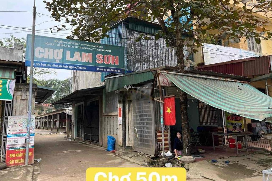 Giá 235 triệu bán đất diện tích 100m2 nằm tại Lam Sơn, Thanh Hóa-01