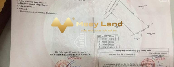 Ở Cây Thông Ngoài, Kiên Giang bán đất 13 tỷ, 2000 m2-03