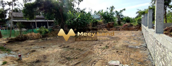 Quảng Điền, Thừa Thiên Huế bán đất giá mềm từ 550 triệu dt cụ thể 97.2 m2-02