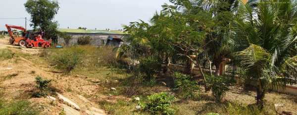 Bán nhà vườn Nguyễn Chí Thanh, thị xã LaGi giá rẻ nhất 5,85 triệu/m2-03