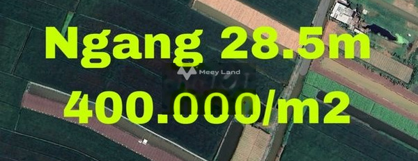 Giá mua ngay 1.56 tỷ, Bán đất có diện tích chung 3900m2 vị trí đẹp gần Tân Điền, Tiền Giang cực kì sang trọng-03