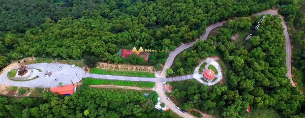 Ở Xã Tân Minh, Hà Nội bán đất 12 tỷ có dt tiêu chuẩn 1200m2-03