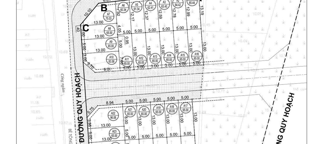 Tại Đài Bi, Hà Nội bán đất tổng diện tích 65m2