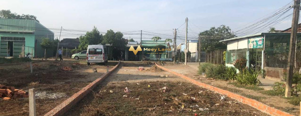 Nguyễn Thị Bài, Long An bán đất giá cực sốc chỉ 1.6 tỷ dt dài 150m2-02