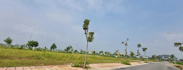 Vị trí thuận lợi tọa lạc trên Thanh Trù, Vĩnh Yên bán đất diện tích quy đổi 100m2-03