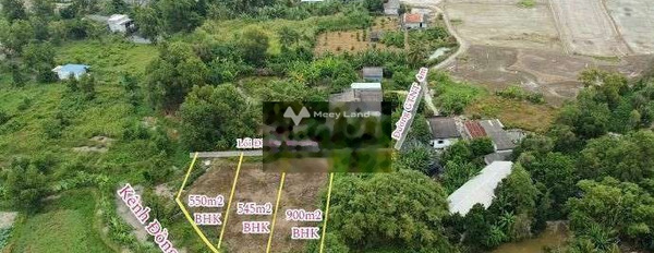 Giá mềm 749 triệu bán đất diện tích mặt tiền 900m2 vị trí đẹp tọa lạc ngay tại Tân Trụ, Long An-02