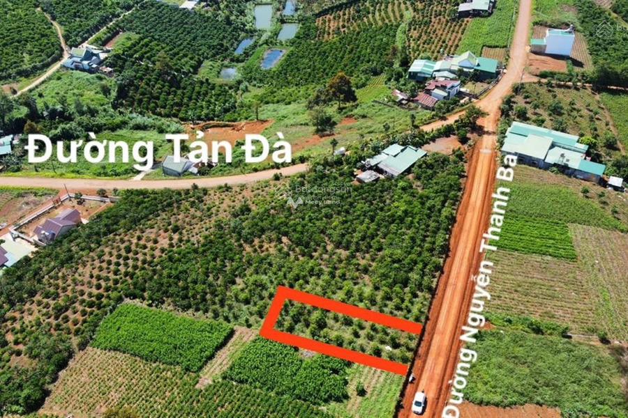 Cần bán mảnh đất tại Bảo Lộc, Lâm Đồng. Diện tích 1000m2-01