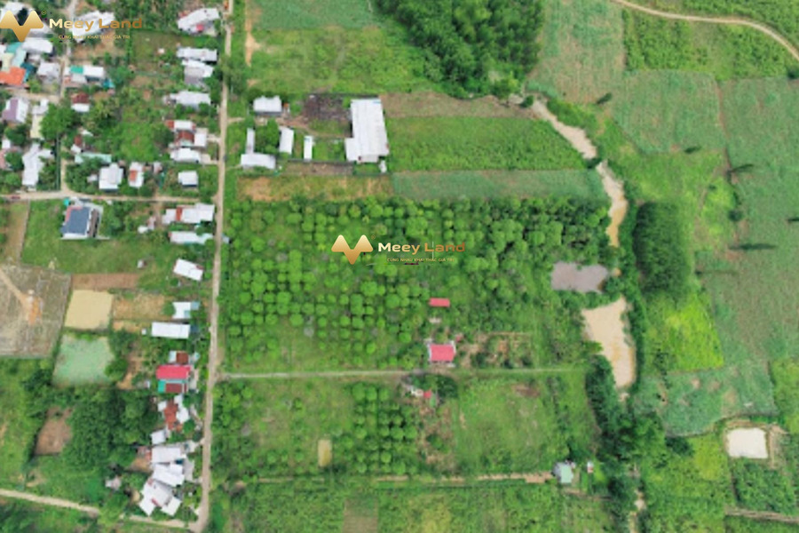 Ngay ở Xã Sông Cầu, Huyện Khánh Vĩnh bán đất giá bán mua liền 632.5 triệu có dt sàn 253 m2-01