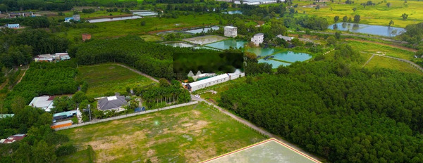 Bán đất tại Long Phước, Đồng Nai, giá bán 6,9 tỷ-02