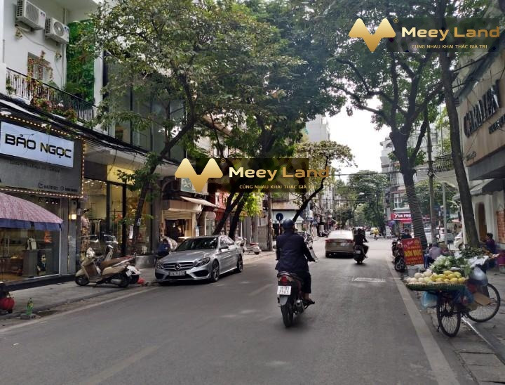Bán nhà mặt tiền tọa lạc ở Phố Gia Ngư, Quận Hoàn Kiếm bán ngay với giá tốt 65 tỷ diện tích 75m2-01