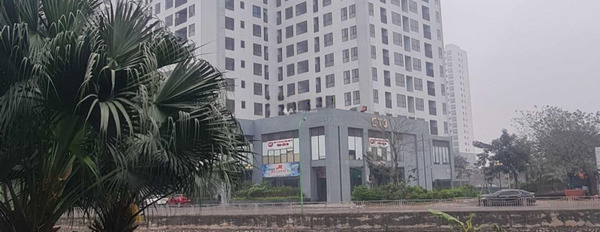 Bán biệt thự Có tổng diện tích 220m2 tọa lạc ở Hoàng Mai, Hà Nội, nhìn chung gồm 1 PN, 10 WC-03