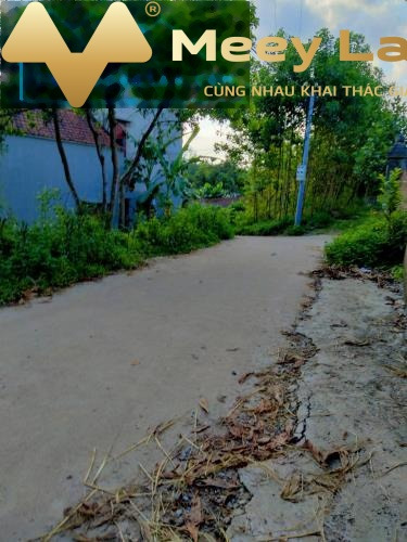 Giá khủng 2.7 tỷ, Bán đất có một dt sàn 3600 m2 vị trí thuận lợi tọa lạc ngay trên Sóc Sơn, Hà Nội giao thông thuận lợi-01