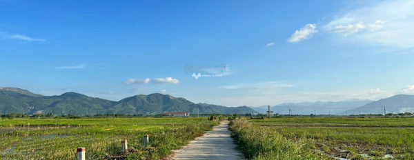 400 triệu bán đất diện tích rộng rãi 355m2 vị trí thuận lợi tọa lạc ngay trên Diên Khánh, Khánh Hòa, hướng Đông - Nam-02