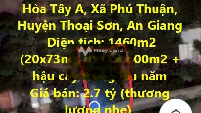 2.7 tỷ bán đất với diện tích 1460m2 vị trí thuận tiện ngay tại Hòa Tây, An Giang-02