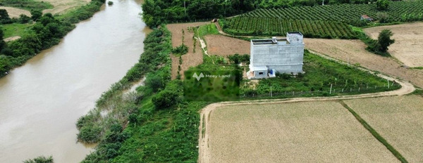 Ở Phan Rí Thành, Bình Thuận bán đất 370 triệu diện tích tổng 751m2-02