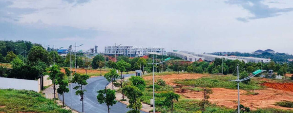 Giá bán tốt bất ngờ 2.1 tỷ bán đất diện tích vừa phải 100m2 vị trí nằm ngay Nguyễn Thông, Bình Thuận-02