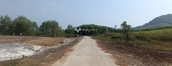 Giá hợp lý chỉ 377 triệu, Bán đất tổng diện tích 502m2 nằm trên Diên Tân, Khánh Hòa, mặt ngõ 7 mét khu vực đông đúc-03