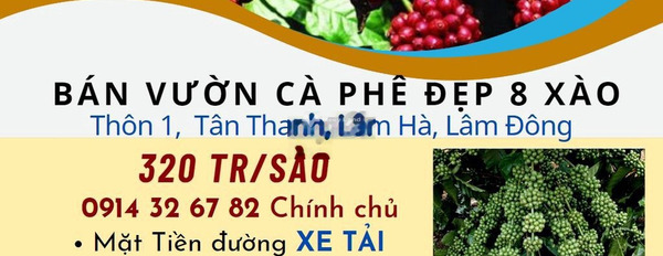 Bán mảnh đất, giá bán mua liền từ 2 tỷ có diện tích thực 10000m2-02