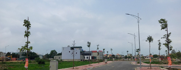 Bán đất nền phân lô trên mặt bằng quy hoạch tại Đông Sơn, Thanh Hóa, 104,5m2, mặt tiền 5,5m, giá 1,15 tỷ-03