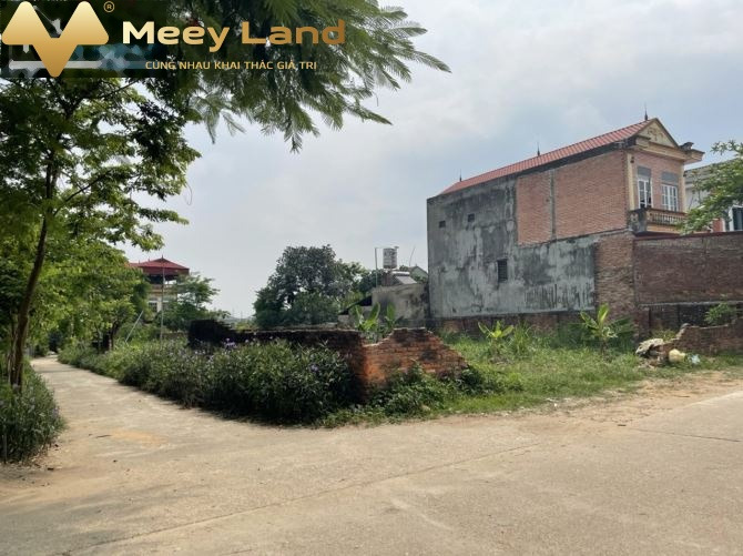 Xã Phù Linh, Huyện Sóc Sơn 588 triệu bán đất có diện tích chuẩn 84 m2-01