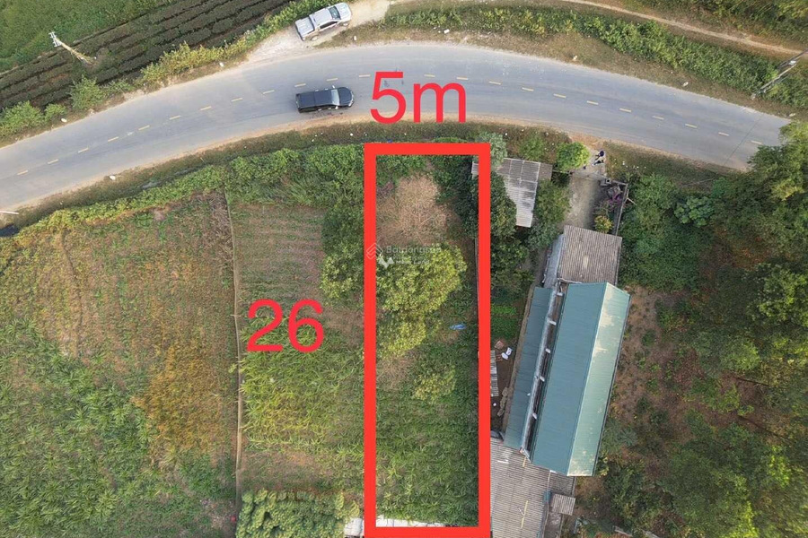 Bán đất tại Thanh Sơn, Phú Thọ. Diện tích 143m2-01