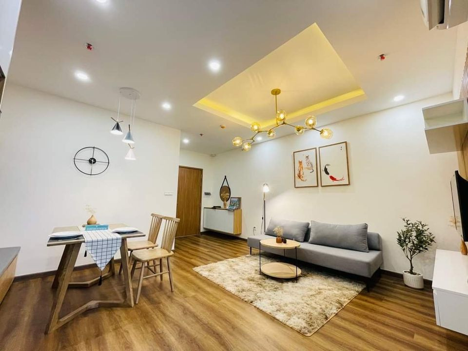 Bán căn hộ chung cư quận Hải Châu thành phố Đà Nẵng giá 220.0 triệu-8