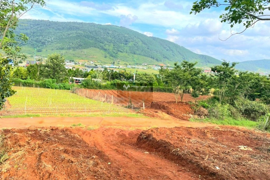 Vị trí nằm ngay Hiệp An, Lâm Đồng bán đất giá khuyến mãi 2.5 tỷ diện tích rộng lớn 500m2-01