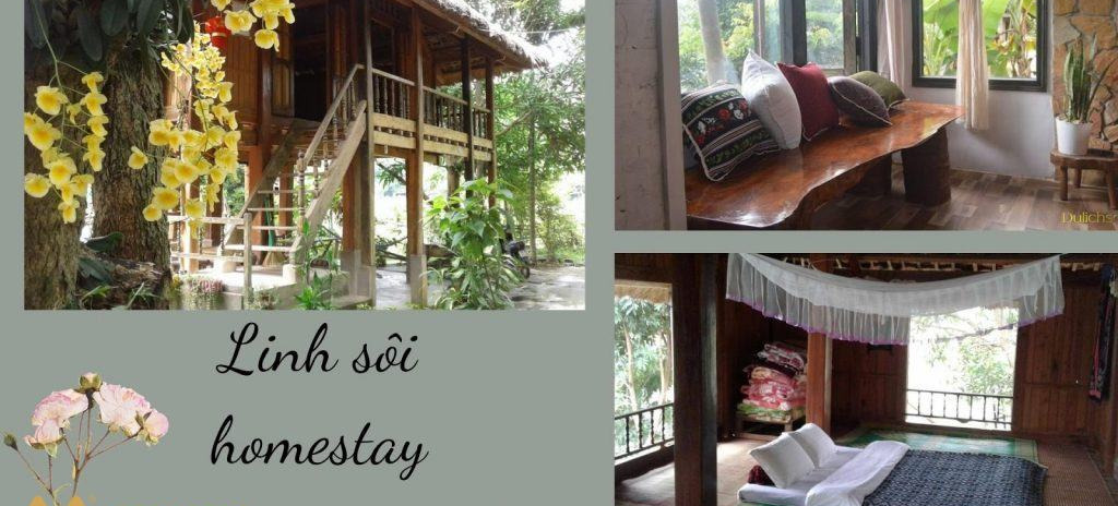 Cho thuê Linh Sôi homestay