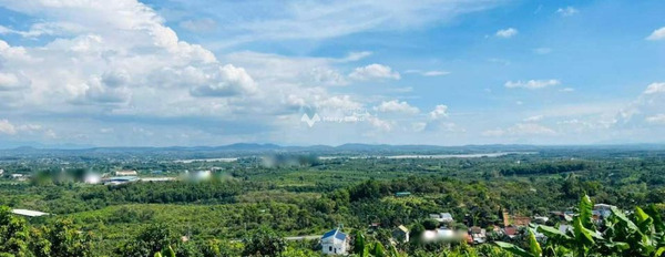 Vị trí tiềm năng Định Quán, Đồng Nai bán đất giá đề cử từ 250 triệu có diện tích chuẩn 100m2-02