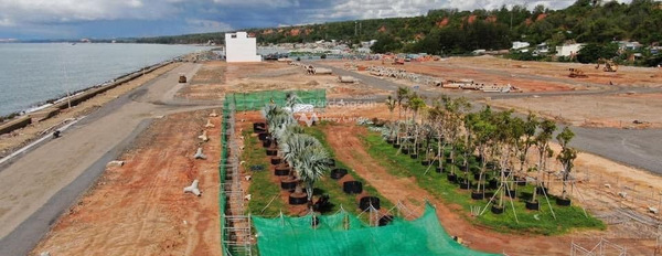 Giá đề cử từ 1.2 tỷ bán đất có diện tích gồm 120m2 mặt tiền nằm ngay tại Mũi Né, Bình Thuận-03