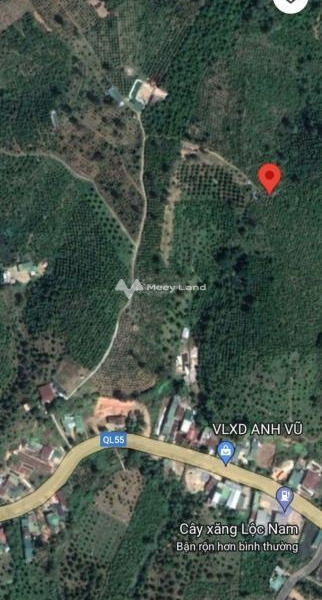 Bán đất tại Bảo Lộc, Lâm Đồng. Diện tích 4000m2-01