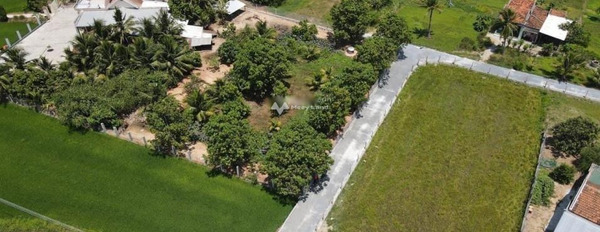 Giá hiện tại chỉ 700 triệu bán đất có diện tích chuẩn 233m2 mặt tiền nằm ngay tại Ninh An, Ninh Hòa-03